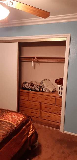 Guest Bedroom (Closet Space w/ Dresser Storage Space)