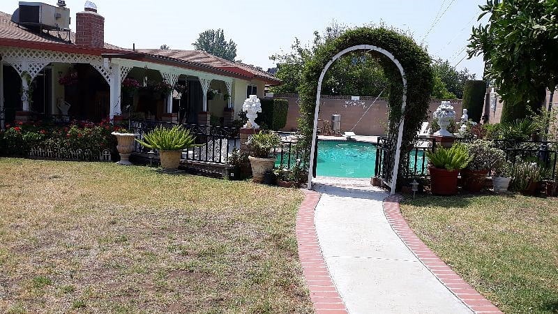Backyard view