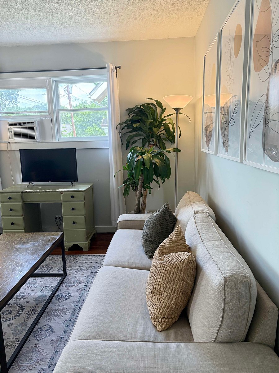 Furnished Finder property 215943_2 photo 4