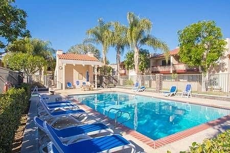 Adult pool