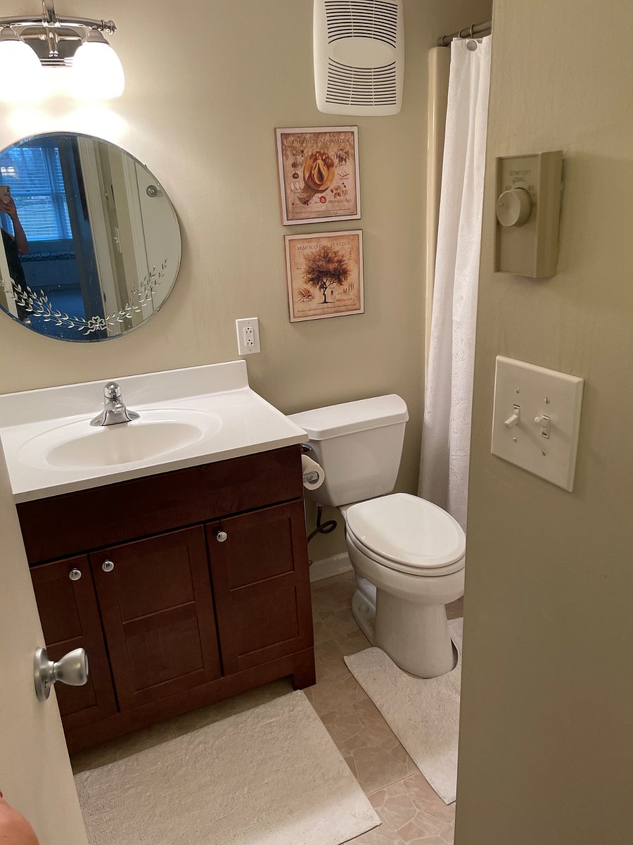 Furnished Finder property 217773_2 photo 5