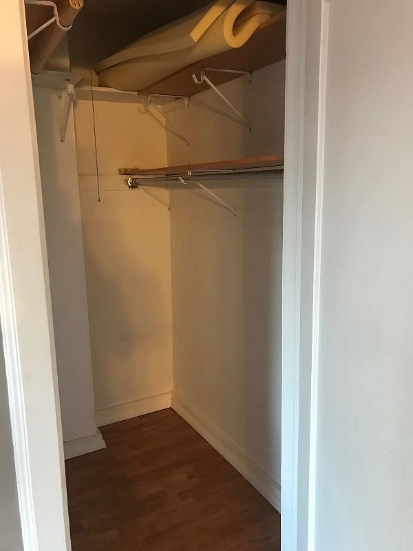 Walk in Closet 2