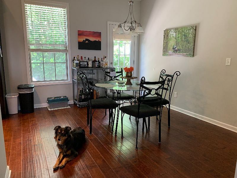 Kitchen table and my dog, Remus. He is an Australian Shepard who weighs 45 pounds.