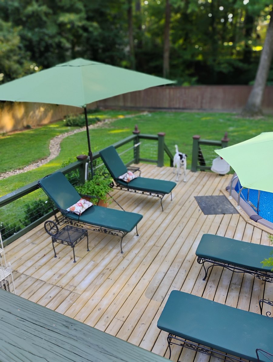 Furnished Finder property 219112_2 photo 19