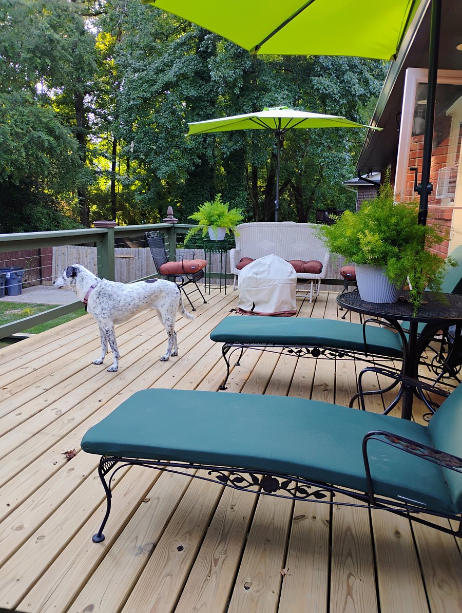 Furnished Finder property 219112_2 photo 21
