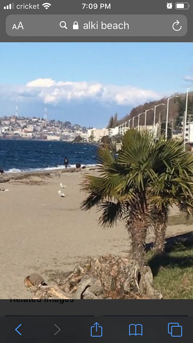 Alki beach