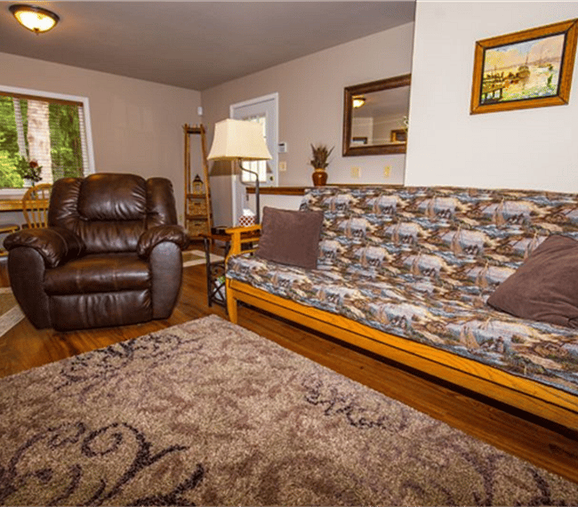 Zoom lens photo of living room area