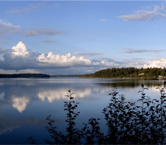 Panoramic view from backside of property