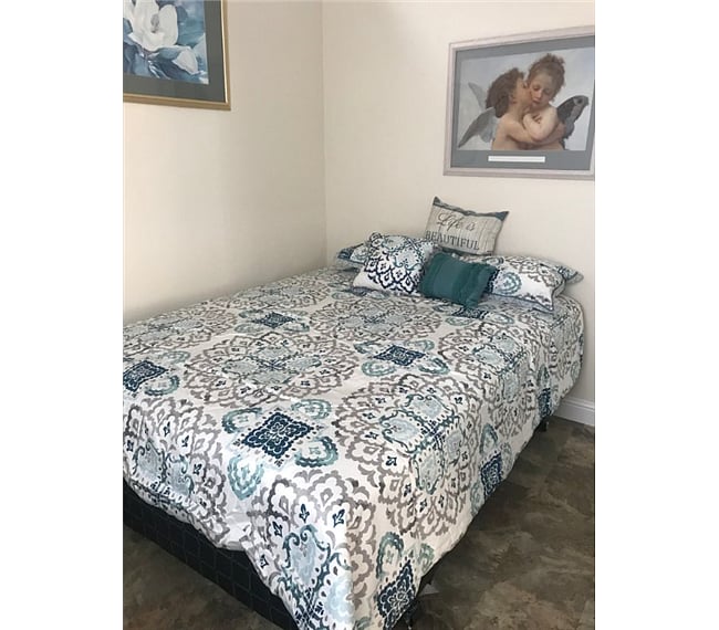 brand new luxury queen size bed and bedding