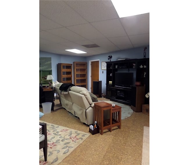 Living room/kitchenette