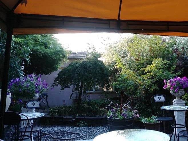 great place to relax read a book watch birds