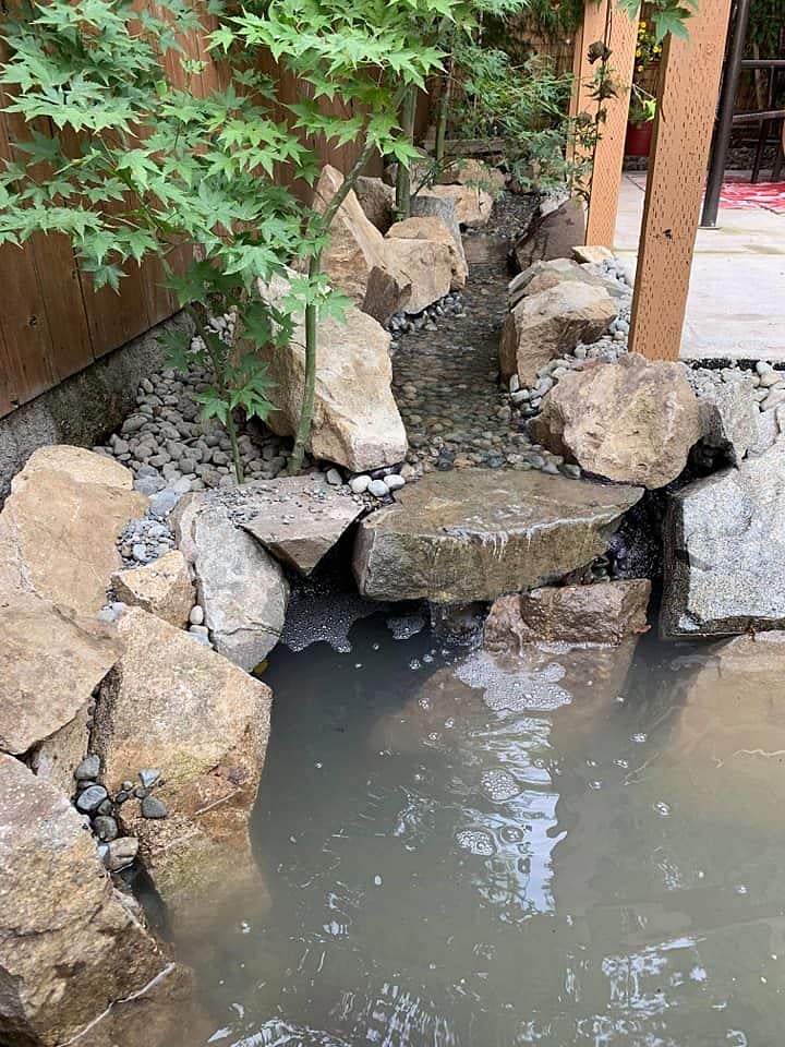 we have a nice little stream running into a koi pond