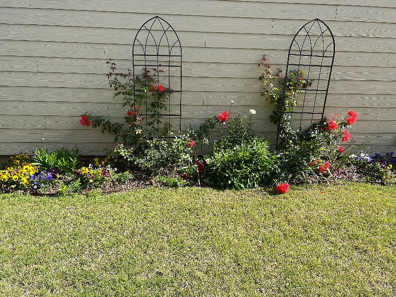 Furnished Finder property 220866_1 photo 23