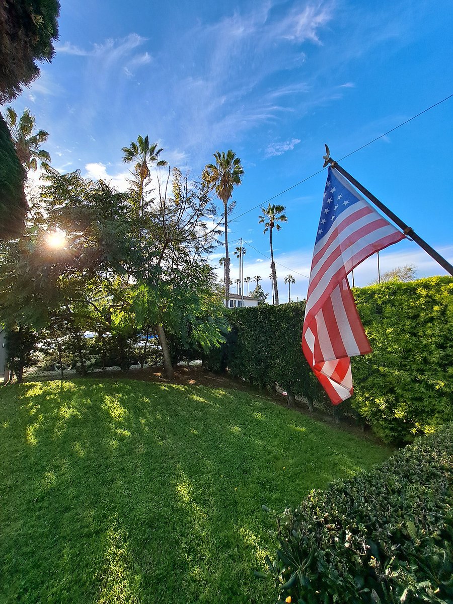 View of the front yard from the porch.
