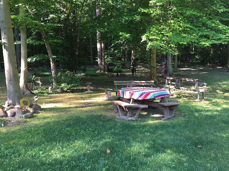 Picnic area or just to relax!"Stephens Park"