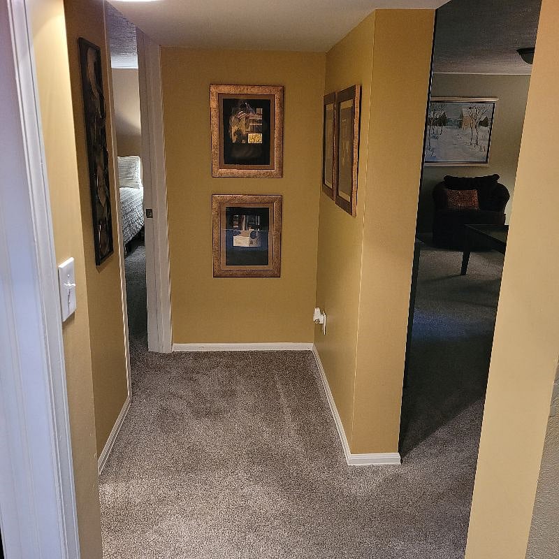 Furnished Finder property 221474_1 photo 4