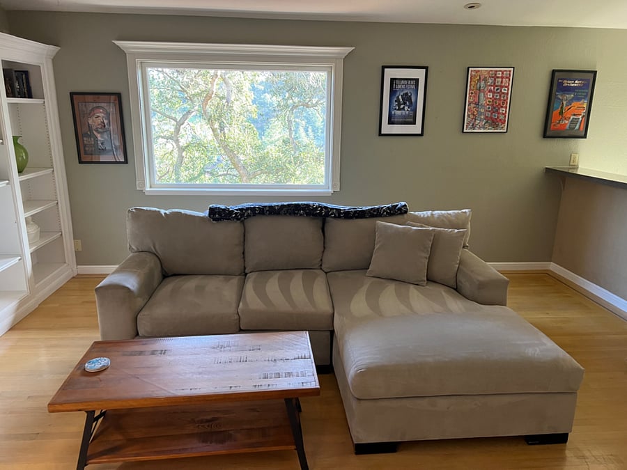 Living room couch with view of large picture window with beautiful private oak tree views