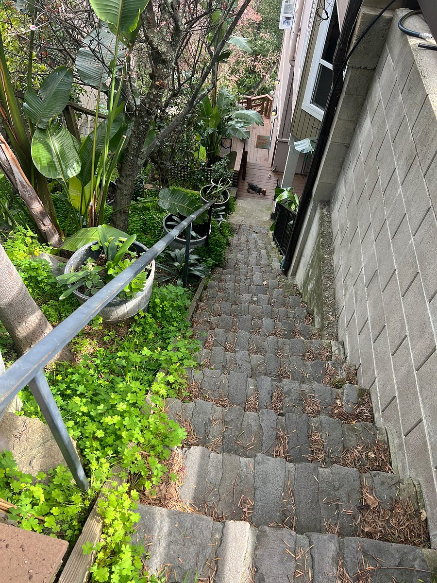 View from gate street level down towards the private slider entrance to the unit with small adjoining deck area with table & chair and potted plants area