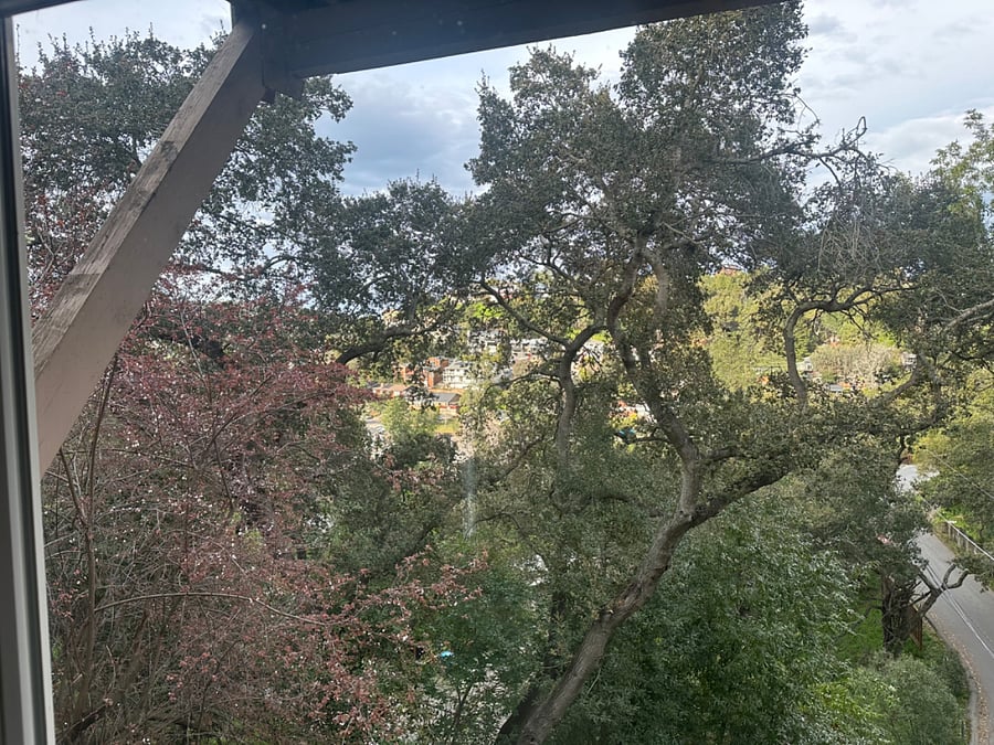View from living room window