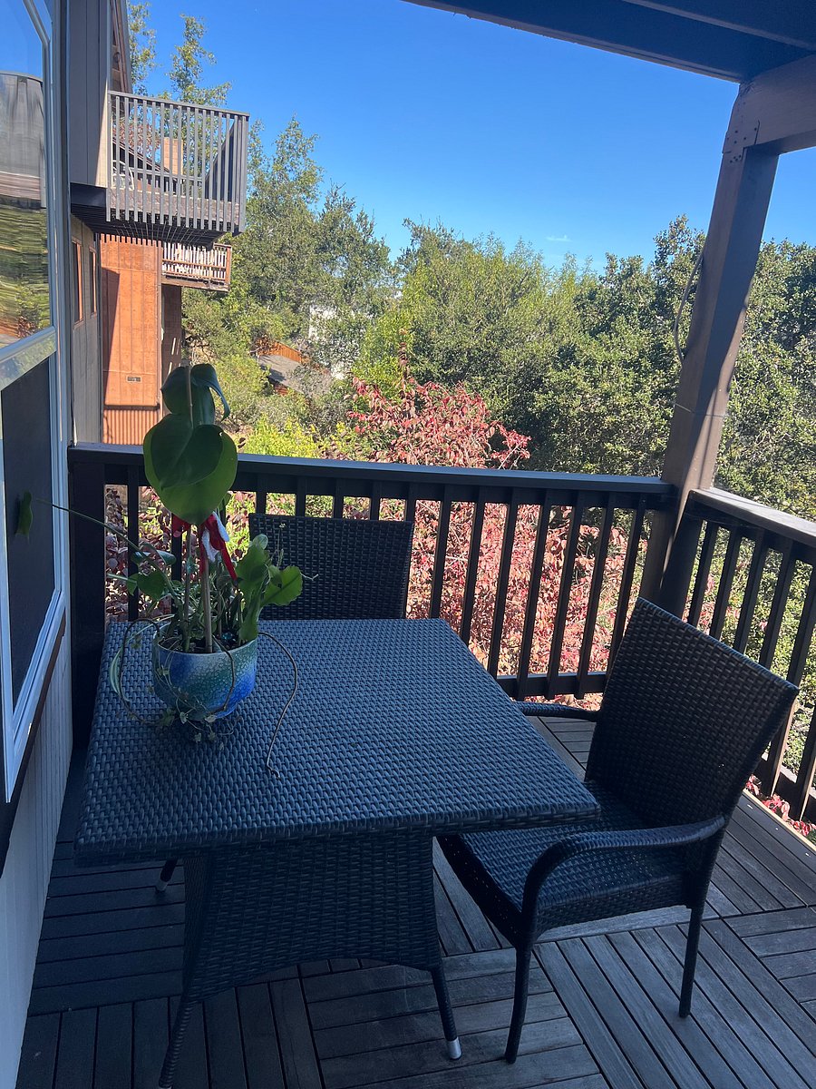 Furnished Finder property 221479_4 photo 13