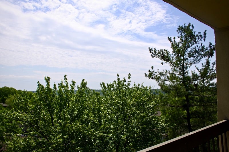 Furnished Finder property 221692_1 photo 14