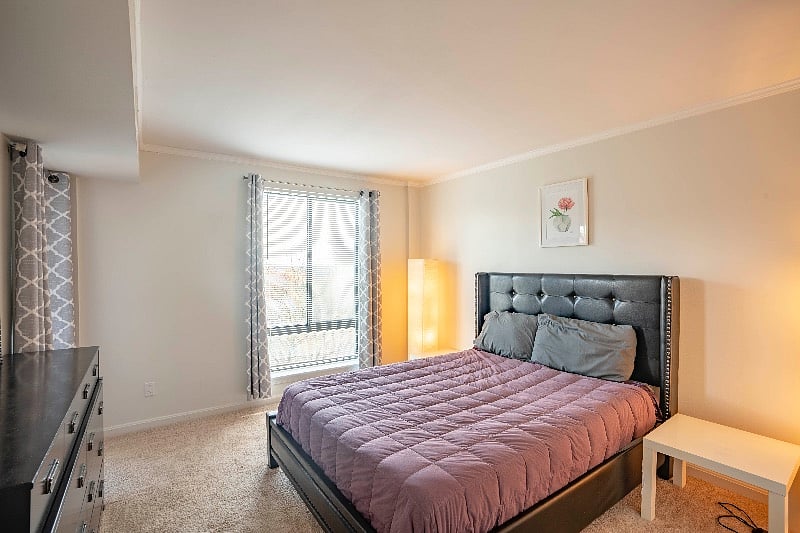 Furnished Finder property 221692_1 photo 16
