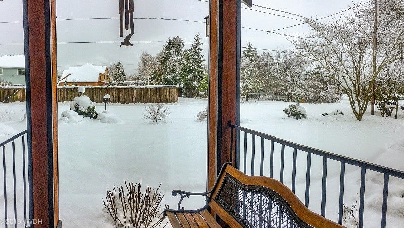 In the winter, you might want to enjoy this view from inside!