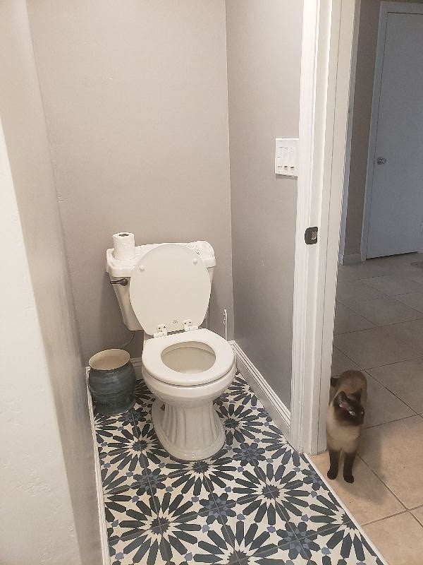 Newly Renovated bathroom. Will have towel storage above the toilet. Pictured here is Fur Roomate Whiskey.
