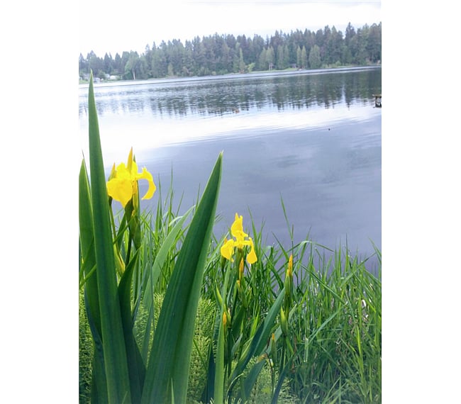 beautiful!!