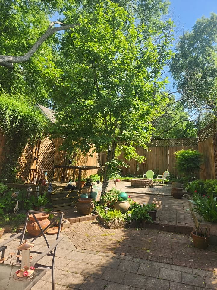 Furnished Finder property 223434_3 photo 14