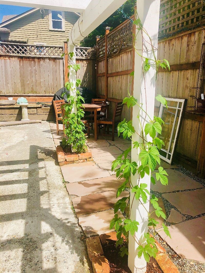 Backyard patio