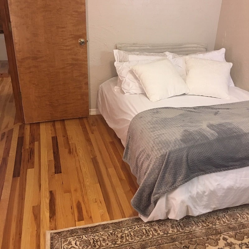 Downstairs Bedroom 