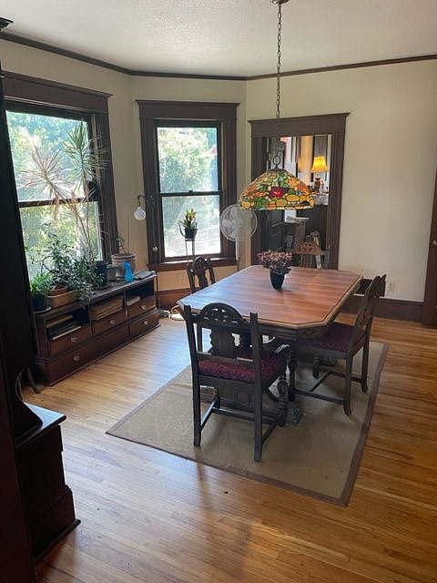 Furnished Finder property 224413_1 photo 9