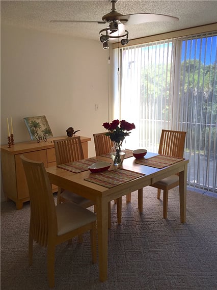 light-filled dining room