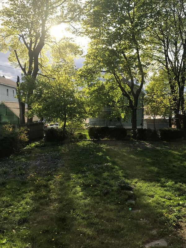 Furnished Finder property 224701_1 photo 17