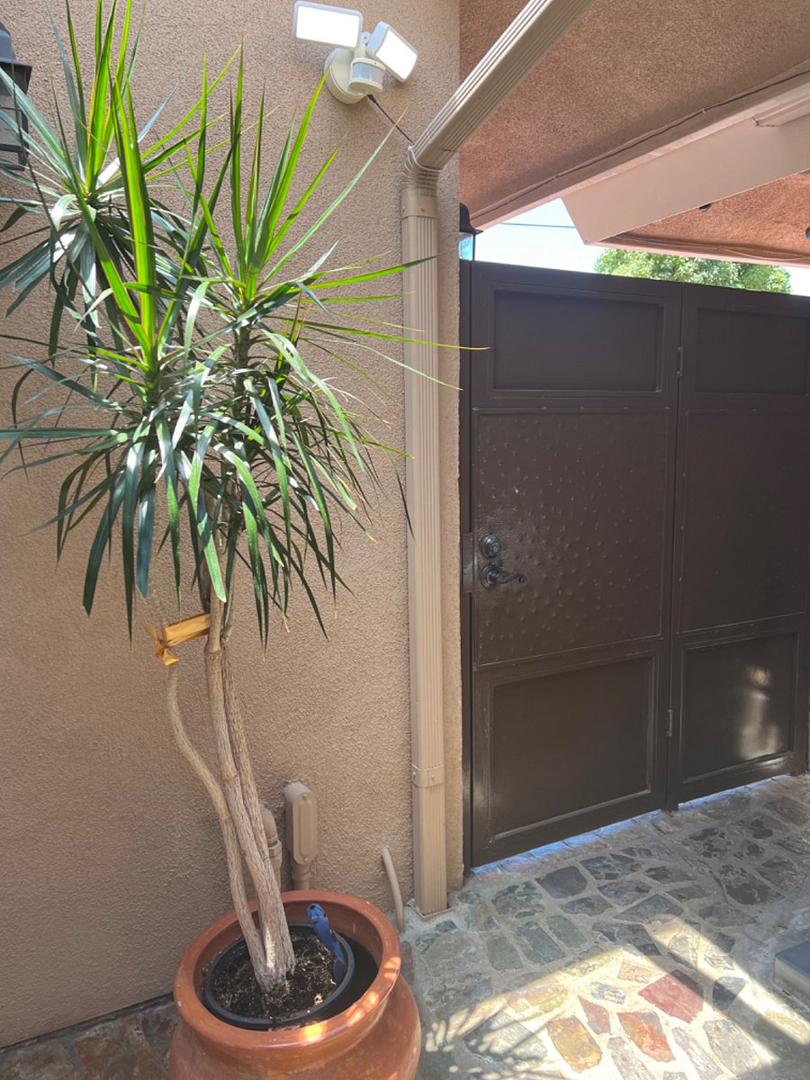 Furnished Finder property 225022_1 photo 28
