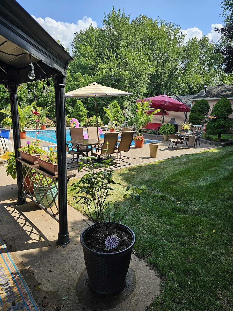Back yard