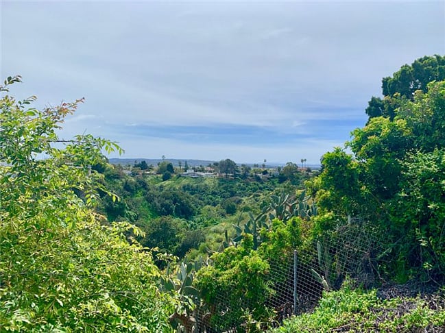 Views from the canyon to Mission Bay (5 mins away) and all the way out to the Pacific Ocean.