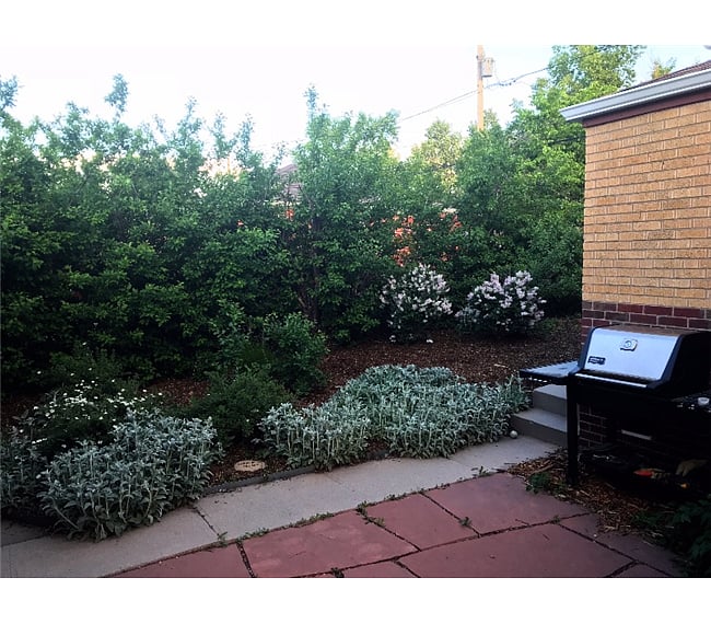 Furnished Finder property 225555_1 photo 4