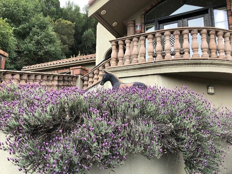 Private Country Mansion Safe, Gated, Quiet Furnished Fresh Air Studio C