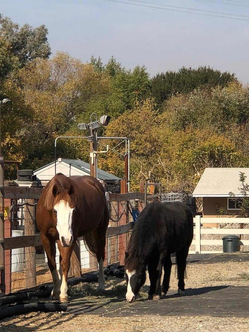 Private Country Mansion Safe, Gated, Quiet Furnished Fresh Air Studio D