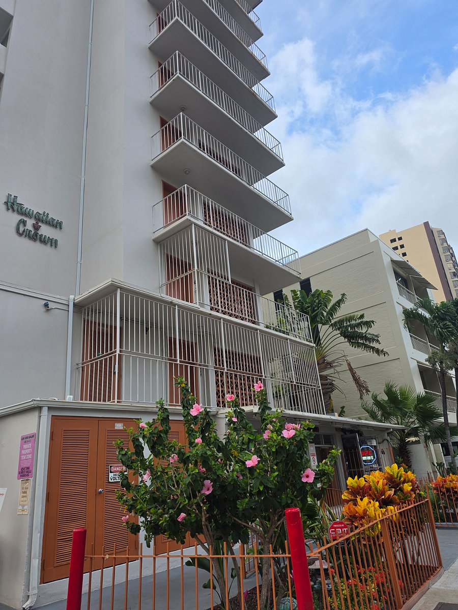 Furnished Finder property 225662_1 photo 17