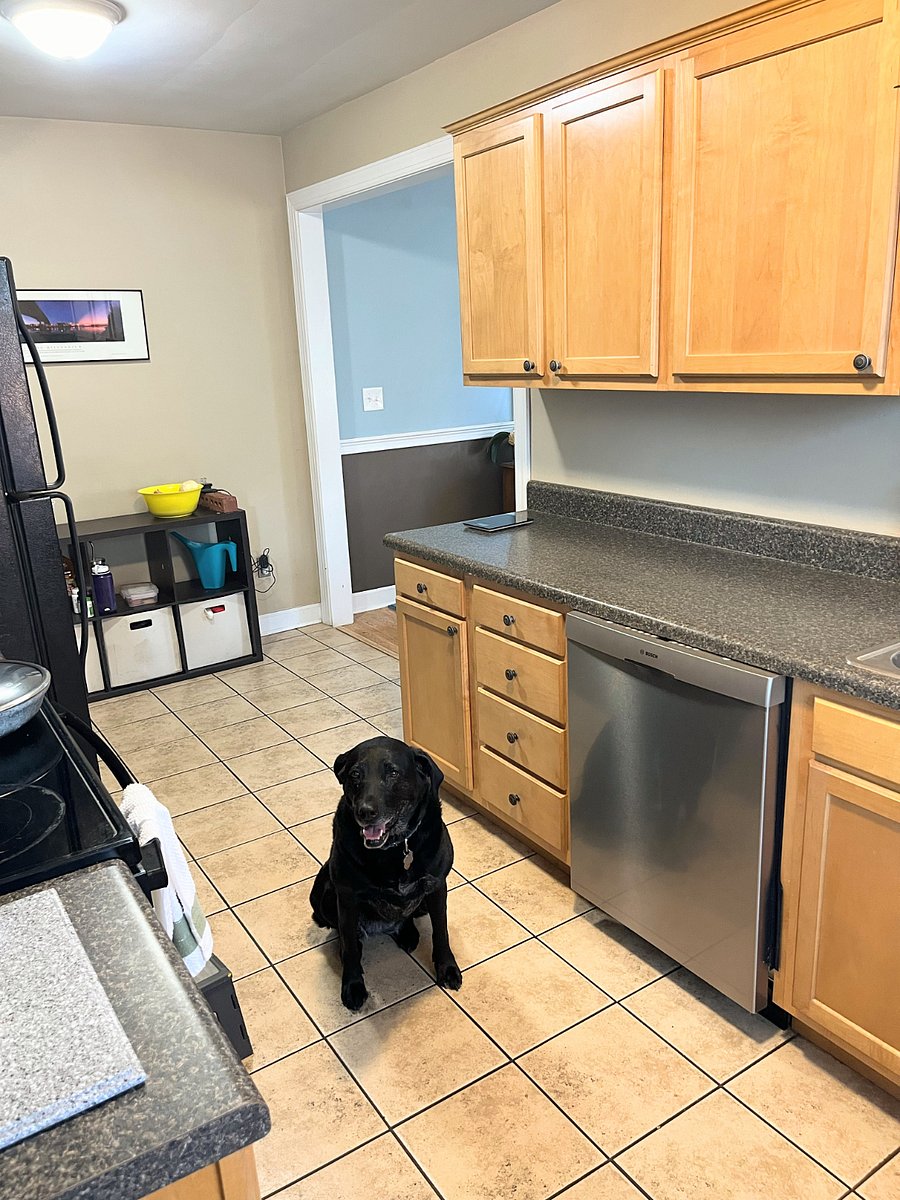 Small Galley Kitchen shared with homeowner. No storage available in kitchen. Use in-suite pantry and small fridge.