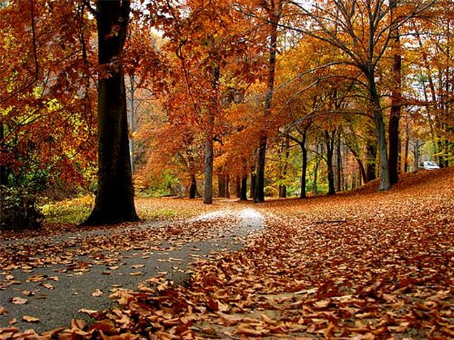 Park nearby