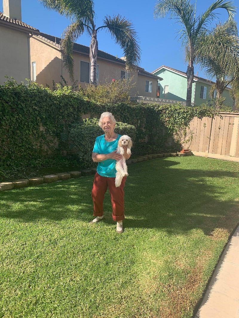 Me and my lhasa Kivi