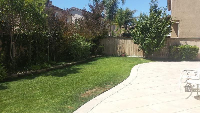 Bedroom overlooks the backyard