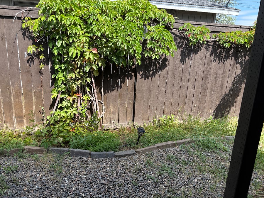 Dedicated BBQ space for tenant use.