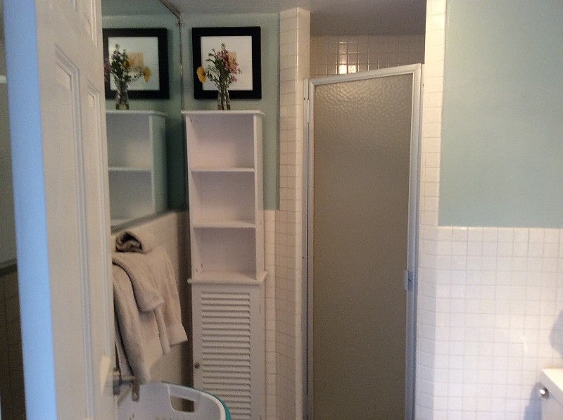 Master bathroom shower