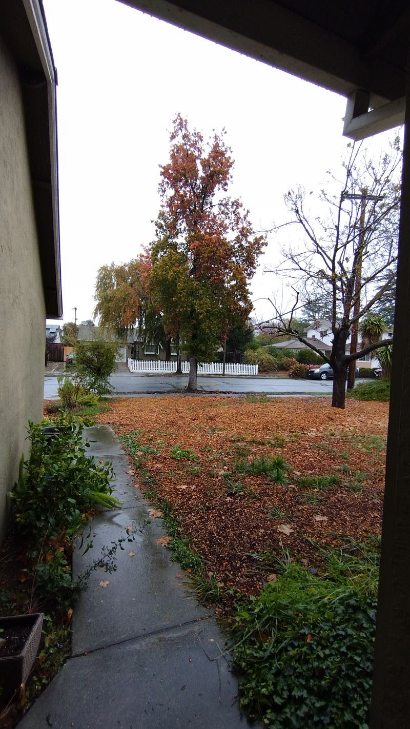 North view from the main house door. East gate to cottage is to the right.