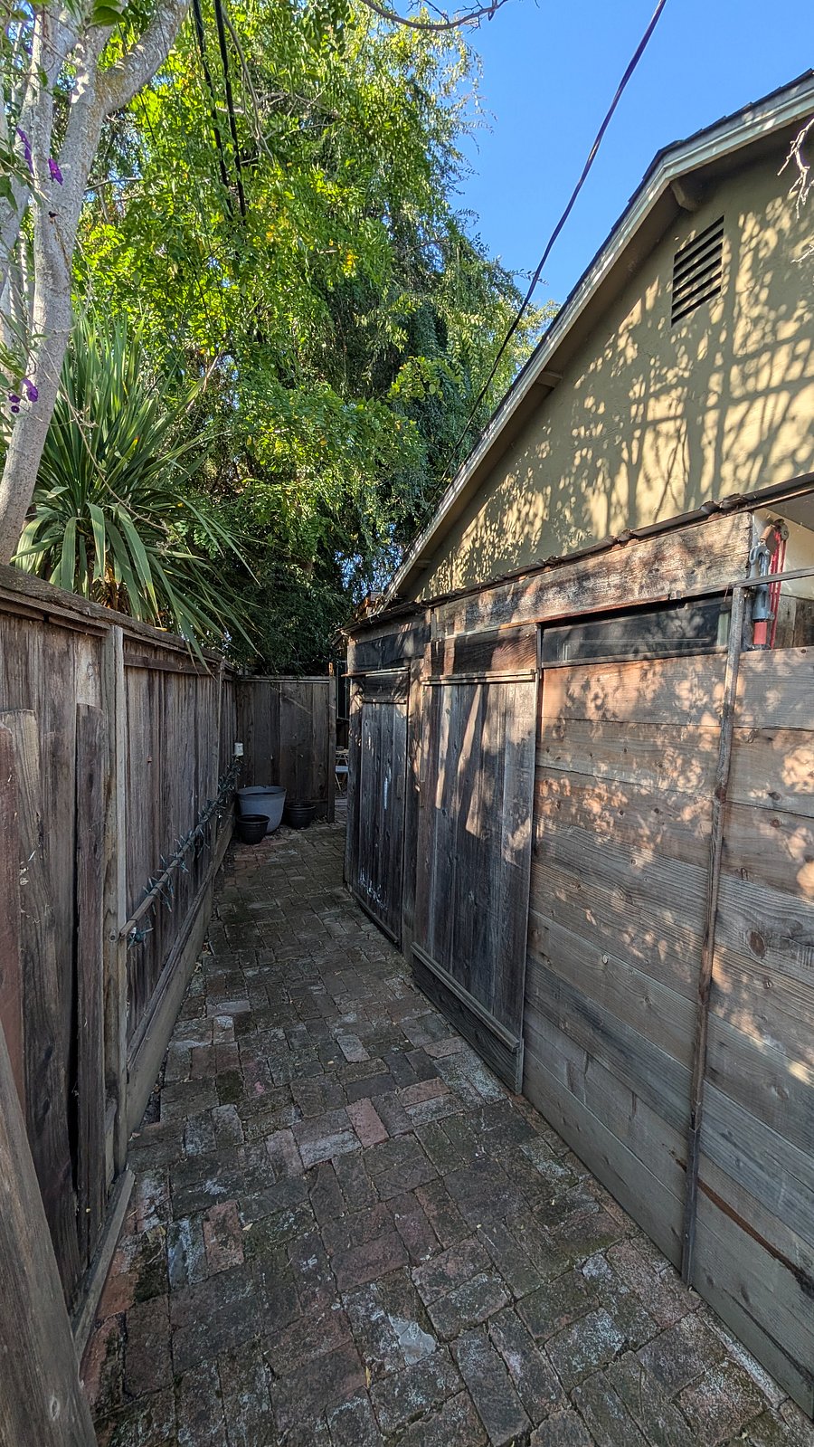 Shower room and separate bathroom